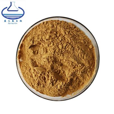 China Bacopa Monnieri Lutein Extract Powder 50% Bacoside Maintain Health for sale