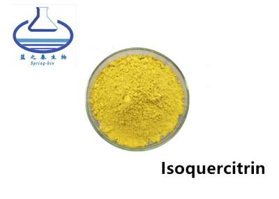 China 98% Organic Licorice Extract , 482-35-9 Sophora Japonica Flower Extract Isoquercetin for sale