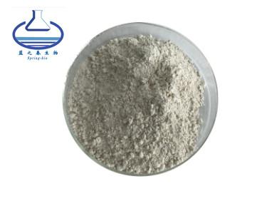 China Extracto natural Gnc, ácido 90045-23-1 de Camboya del Garcinia de HCA Hydroxycitric en venta