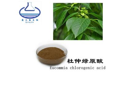 China Corteza natural el 25% ácido Chlorogenic el 98% de Eucommia Ulmoides de la CLAR en venta