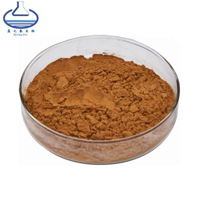 China Hoge kwaliteit bulk UV Cuscuta Chinensis extract bruin poeder Te koop