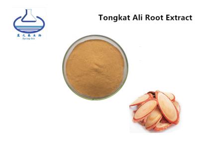 China Manufacturer Wholesale Bulk Tongkat Ali Root Extract Powder for sale