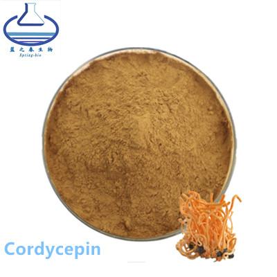 China Cordycepin Ectoin in Skincare, Sinensis-Uittreksel Organische Cordyceps Militaris Te koop