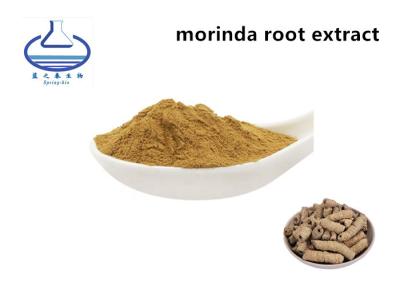 Κίνα Καθαρή φυσική σκόνη αποσπασμάτων Morinda Officinalis ανεφοδιασμού προς πώληση