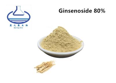 Chine 11021-14-0 la racine de ginseng saupoudrent 80% Ginsenoside Rg3 Rh2 Rb1 Panax à vendre