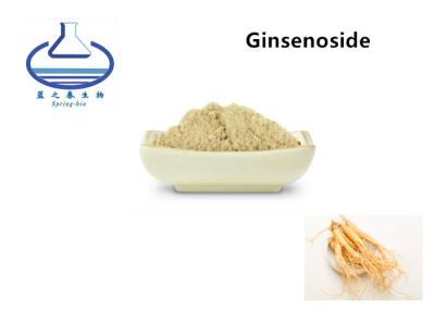 China Pó de extrato de panax ginseng puro natural de alta qualidade à venda