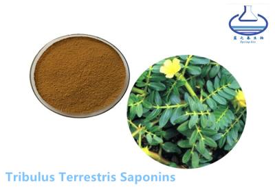 Chine L'extrait de Terrestris de Tribulus saupoudrent Protodioscin CAS 55056-80-9 à vendre