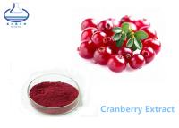 China Purple Red Cranberry Extract Powder Medical Grade With Anthocyanidins for sale