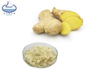 China CAS 23513-14-6 Ginger Root Extract Powder para los productos de la atención sanitaria en venta