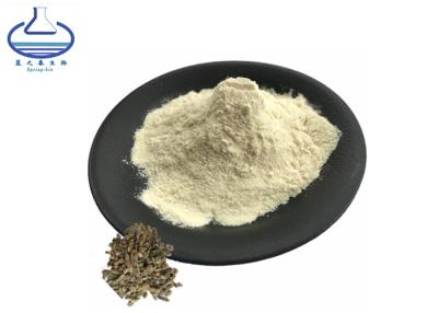 China Fructus Sophorae Extract Genistein Powder CAS 446-72-0 for sale