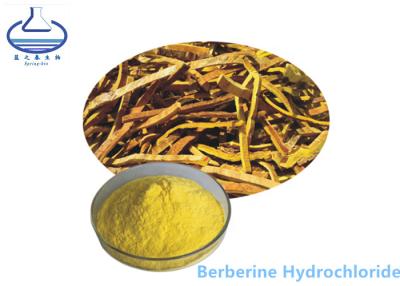 China El Phellodendron Amurense del clorhidrato de Berberine extrae el polvo amarillo 633-65-8 en venta