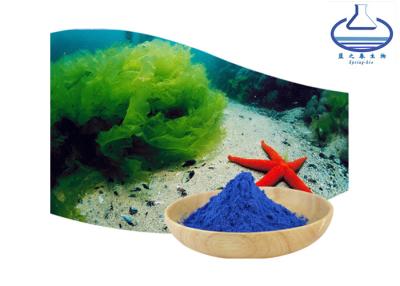 China Extracto de la ficocianina de la CLAR E18, extracto azul de Spirulina de la categoría alimenticia en venta