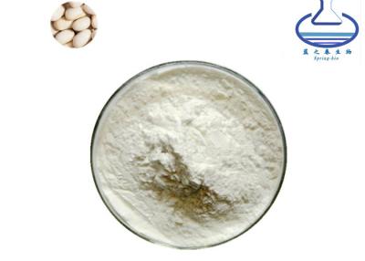 China El OEM blanco de Bean Extract Phaseolin Powder del riñón encapsula Phaseolin en venta