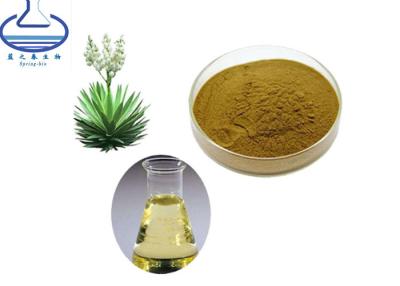 China Extracto Herb Root Leaf Saponin Powder Sarsaponin de Schidigera de la yuca del 80% en venta