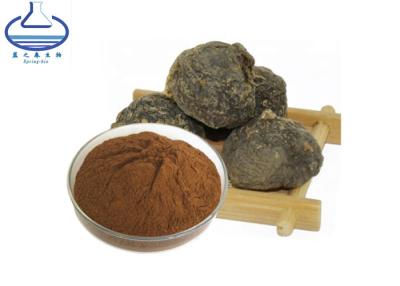 China High Quality Food Grade Black Maca Root Extract Powder for sale