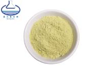 Cina Polvere 520-18-3 del kempferolo dell'estratto di sophora japonica di 98% in vendita