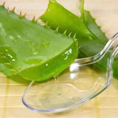 Cina 10/1 200/1 di aloe Vera Powder Freeze Dried Aloe Vera Powder in vendita