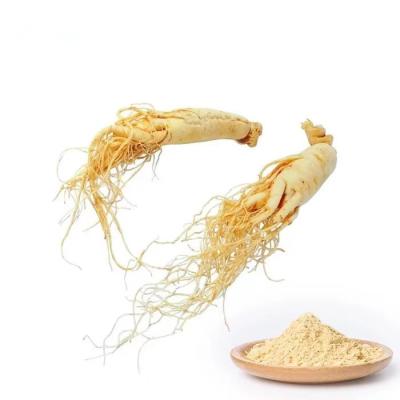 Cina 5/1 di polvere rossa dell'estratto del ginseng, bio- polvere della radice di Codonopsis della primavera in vendita