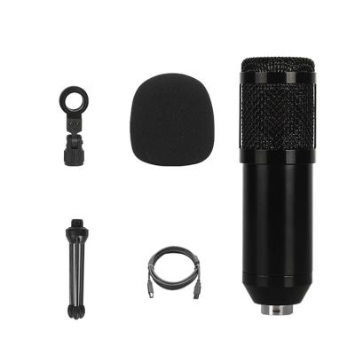 China Professional Supplier Stage Subject Desktop Speaker Built-in Game For PC Microphone for sale