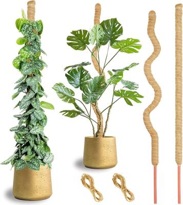 China Plant CLASSIC Bendable DIY Support Coir Climbing Coir Poles Set Coconut Palm Tree Stick Coir Poles Indoor Outdoor Moss Poles for sale