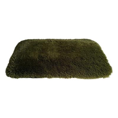 China 2021 Washable High Quality Shaggy Flannel Blankets For Living Room Floor Carpet for sale