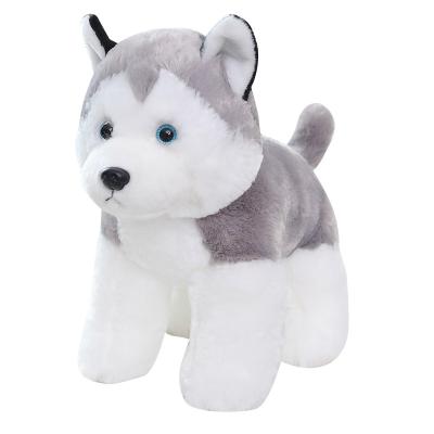 China Cute Gift T002 Husky Dog Plush Toy Realistic Simulation Stuffed Animal Dog Toys For Kids Soft Baby - Doll Kids Girl Birthday Gift Lovely for sale