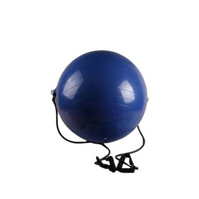 China FITUS Durable Anti Shatter And Slip Resistant Yoga Exercise Ball Custom for sale