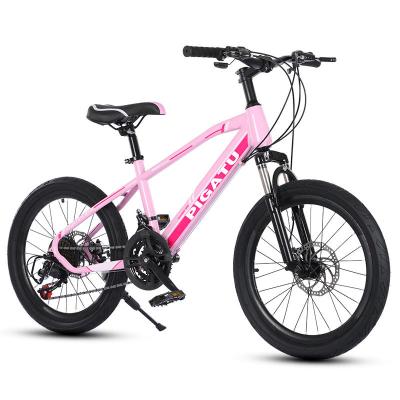 China Factory direct supply 20 inch carbon steel frame folding bikes 21 speed double speed variable bicycle disc brake mountain bike for sale