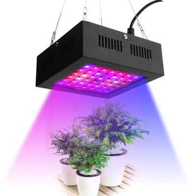 China Indoor VEG COB 80w Black Panel Factory Led Growing Light for sale