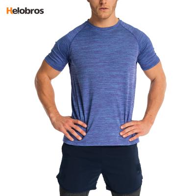 China Anti-pilling Men's 2019 Newest Release Summer Custom Gym T-shirt FunctionalityDry Fitted T-shirt for sale