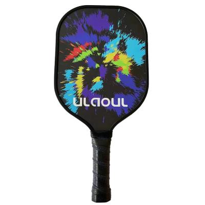 China OEM Custom Logo Pickleball Paddle Carbon Fiber / Indoor Outdoor Paddle B4001 fiberglass pickleball for sale