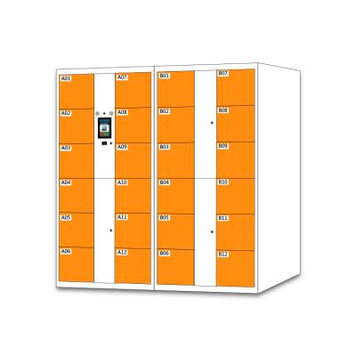 China Smart Card Locker Storage Lockers Smart Parcel Locker Parcel Locker With IC Card Access for sale