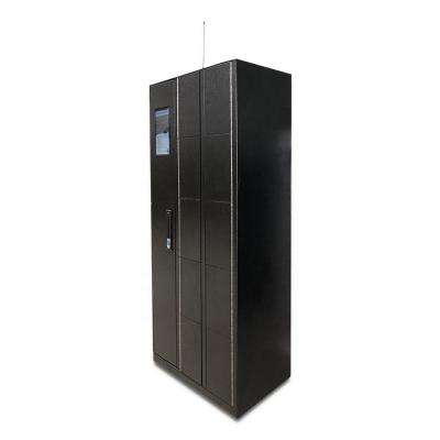 China RFID Smart Locker Government Agencies Lockers Smart Master Locker for sale