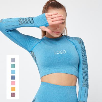 China Mesh Elastic Yoga Wear Crop Sports Gym Tops Bra Booty Fitness Clothing Breathable Popular Long Sleeve Women Tops for sale