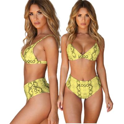 China Wholesale Custom Breathable Sexy Leopard Snakeskin Print Bra Size Women Bikini Top Plus Size 2 Pieces Set Swimwear for sale