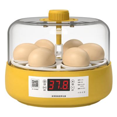 China Cultivate Small Household Water Incubator Bed Parrot Chick Automatic Egg Incubator for sale