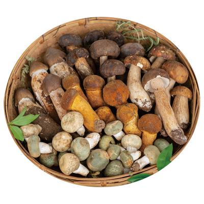 China Wholesale Fresh Natural Wild Mushroom for sale