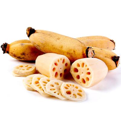 China Fresh wholesale natural agricultural products now digging nine holes of seasonal lotus tender root for sale