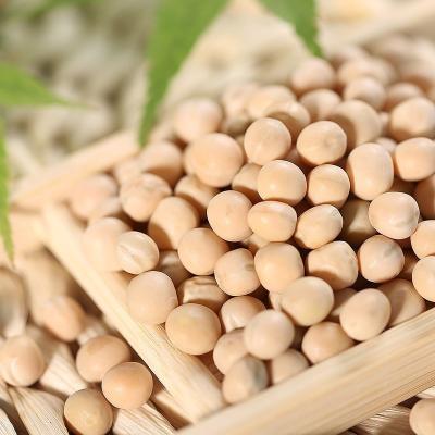 China Premium Quality Dried Food Grade Dried Peas In Low Price for sale