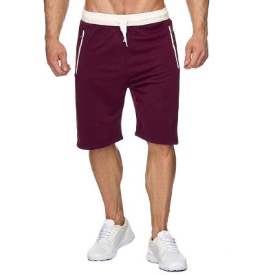 China New Summer QUICK DRY Plus Size Men's Casual Sports Solid Color Beach Breathable Shorts for sale