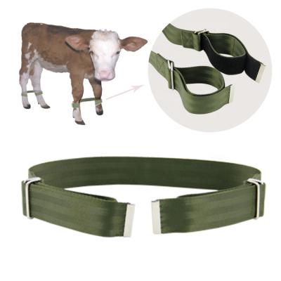 China IRON Nylon Material Cattle Tie Animal Patch Strap for sale