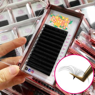 China 100% Abonnie Matte Black 0.03 0.05 0.07 mm Korea Black Eyelash Extensions Trays Private Label Eyelash Extensions for sale