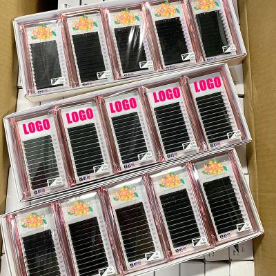 China Individual Full Volume Premium Lashes Private Label Cashmere 0.07 0.05 Matte Lashextensions Wholesale Tray Lash Extensions for sale