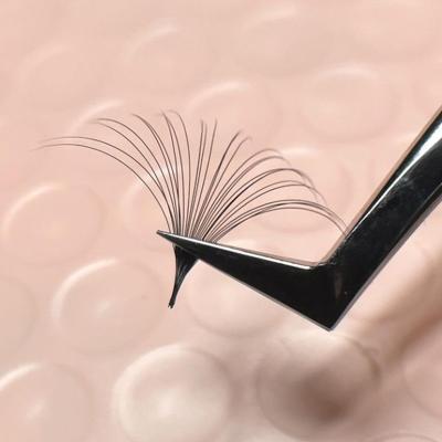 China Abonnie Softer 0.05 0.07 C D Loop Lash Extensions Easy Fans Lashes Fan Easy Eyelash Extensions Supplies for sale