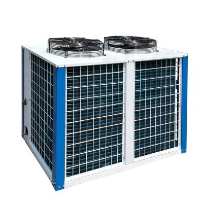 China Air Cooled Condensing Unit Cold Room Compressor Unit Refrigeration Equipment Condensing Unit for sale