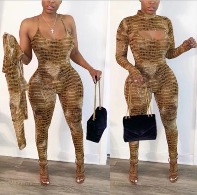 China Breathable Mesh See Through Hot Sexy Snake Print Two Piece Sets Clothing Women's Sleeve Birthday Club Bodycon Long And Pants Matching Set for sale