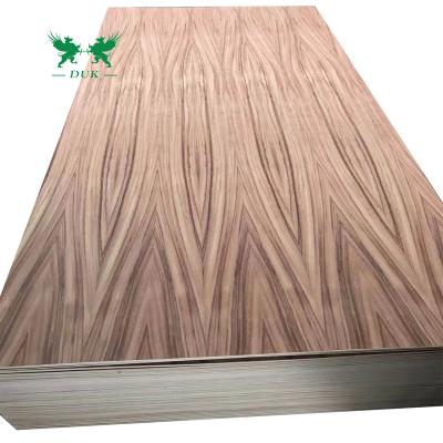 China Contemporary AAA Combi Core Parota Plywood Tzalam Plywood for Mexico and USA for sale