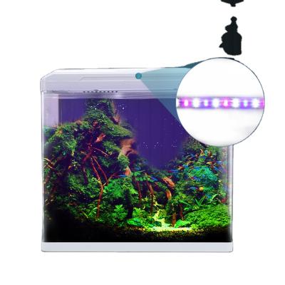 China Yee best-selling super white glass stocked multifunctional desktop aquarium with high quality good price for sale