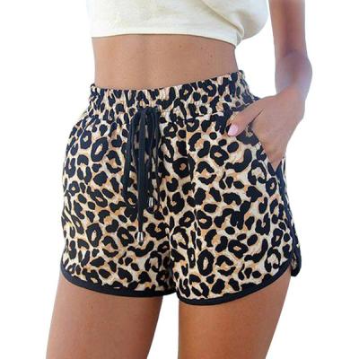 China New Style Leopard Anti-Wrinkle Wholesale Design Women's Sexy Shorts for sale