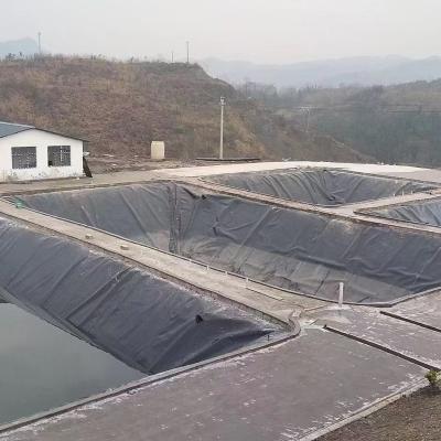 China Industrial High Quality 100% HDPE Polyethylene Factory Price Geomembrane for sale